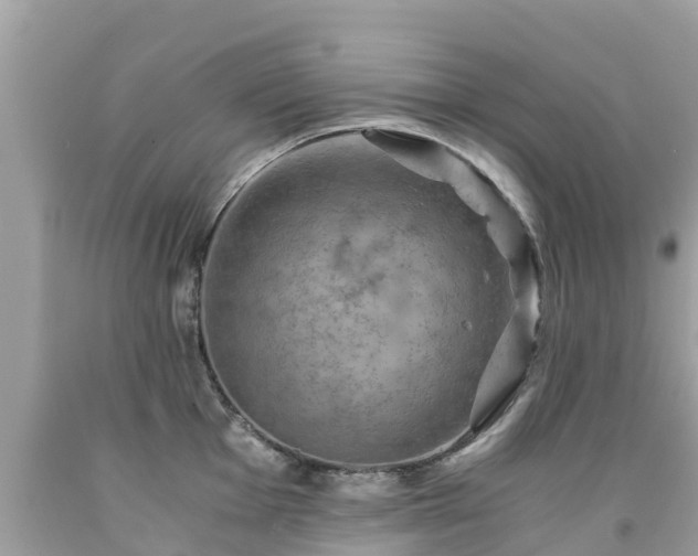 X0000092001001200709131510