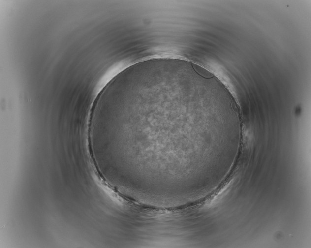 X0000092001002200709131510