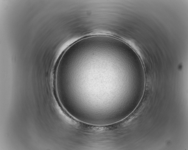 X0000092001003200709131510