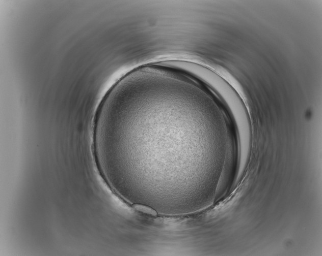 X0000092001005200709131510