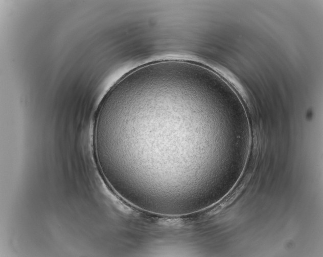 X0000092001006200709131510