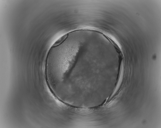 X0000092001007200709131510