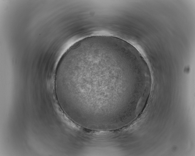 X0000092001008200709131510