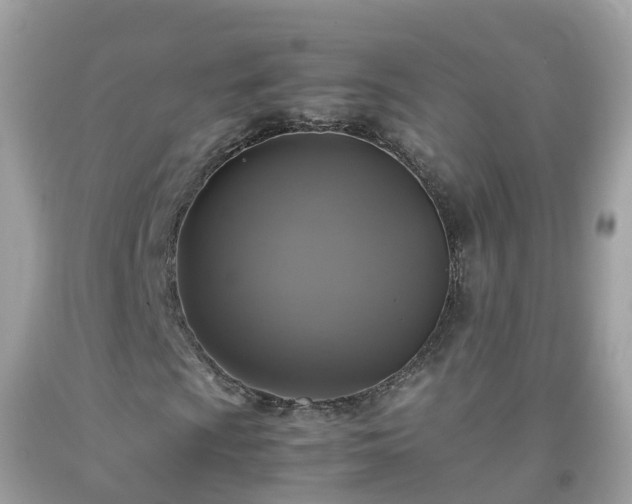 X0000092001009200709131510