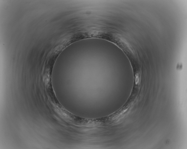 X0000092001011200709131510