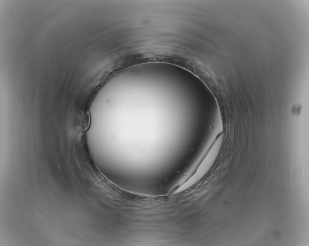 X0000092001012200709131510