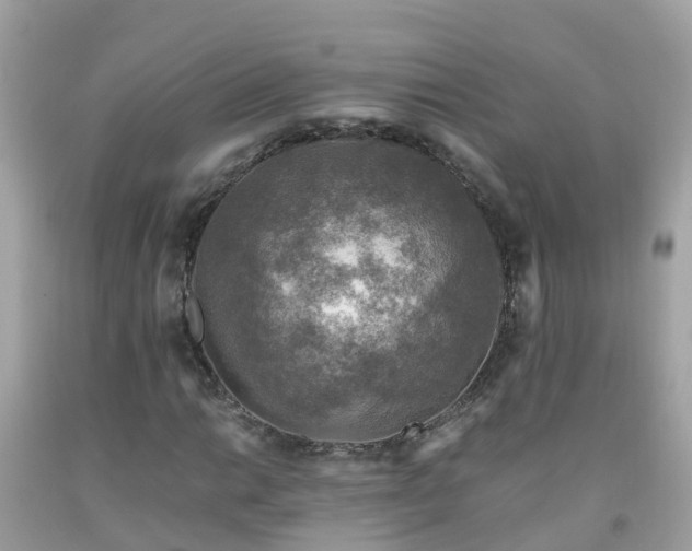 X0000092001014200709131510