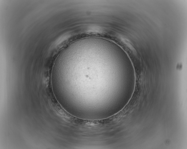 X0000092001015200709131510