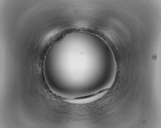 X0000092001016200709131510