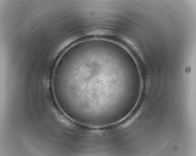 X0000092001017200709131510