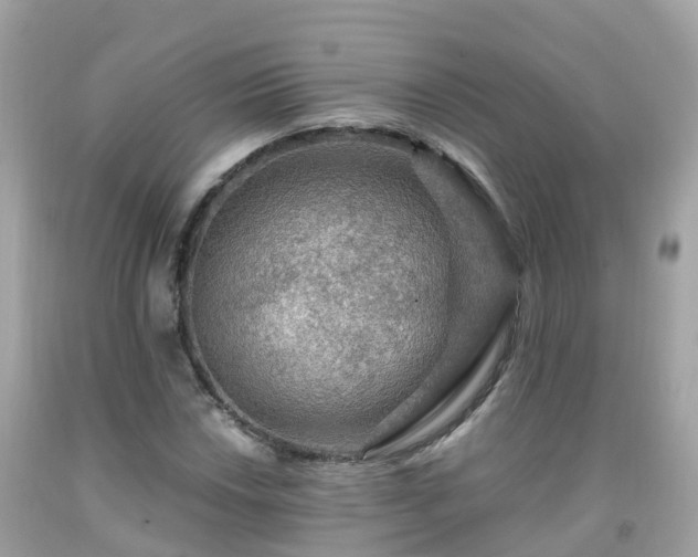 X0000092001018200709131510