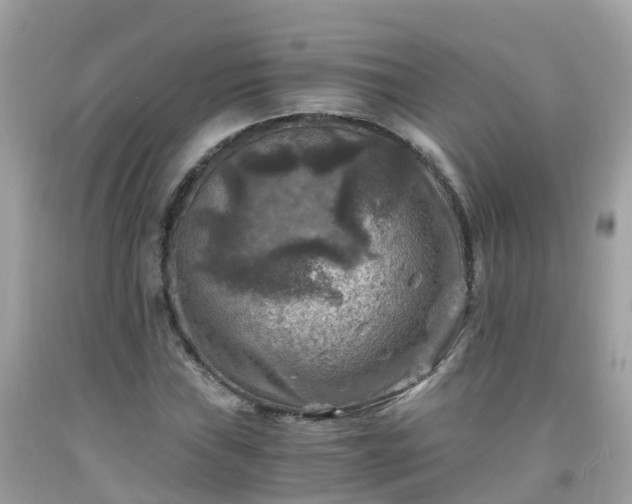 X0000092001019200709131510