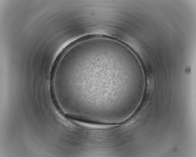 X0000092001020200709131510