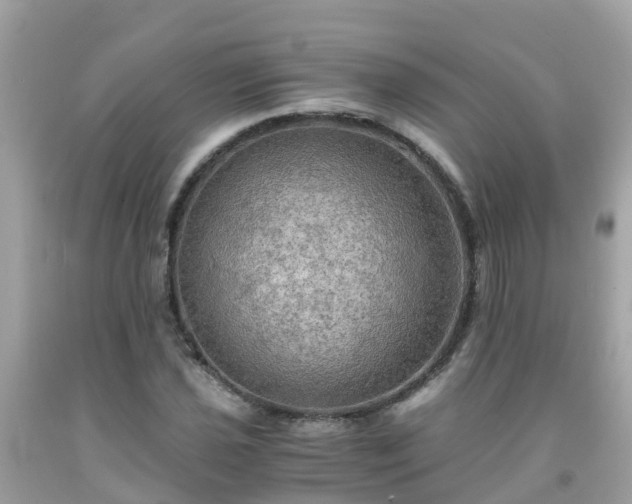 X0000092001021200709131510