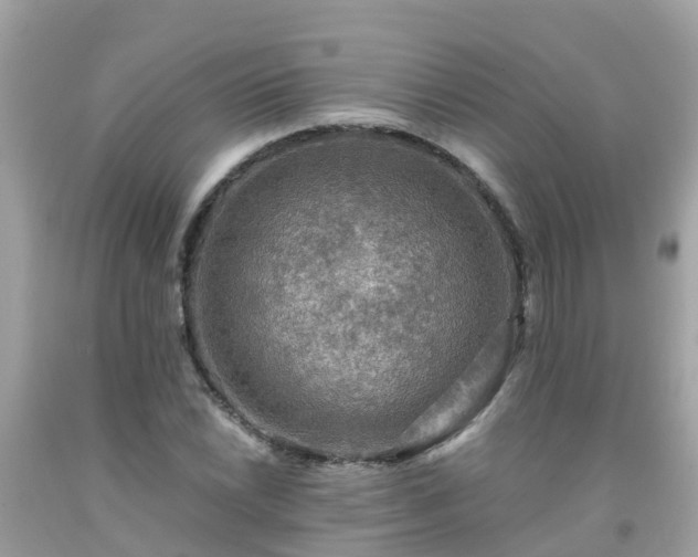 X0000092001022200709131510