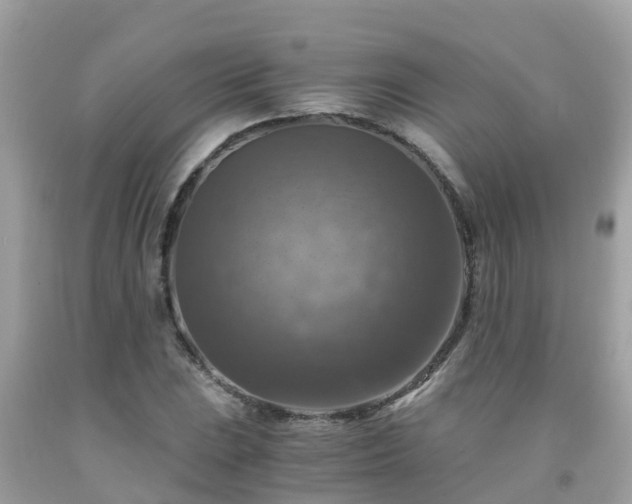 X0000092001023200709131510