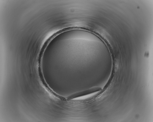 X0000092001024200709131510