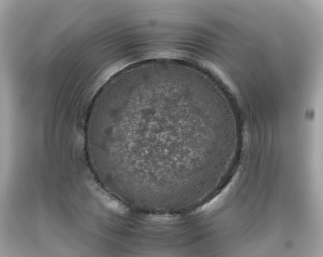 X0000092001025200709131510