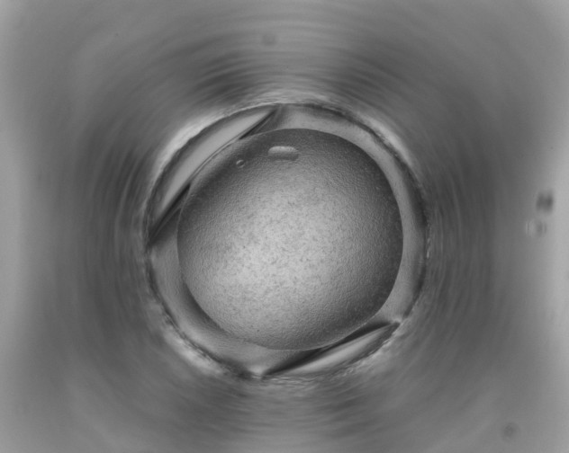 X0000092001026200709131510