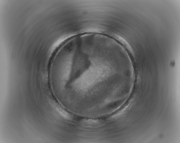 X0000092001027200709131510