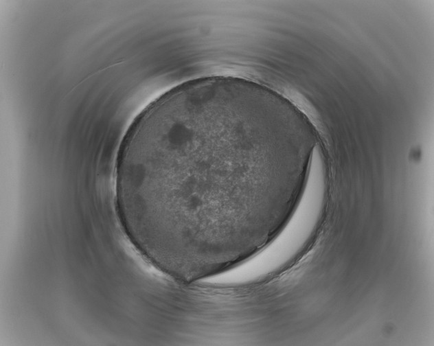 X0000092001028200709131510