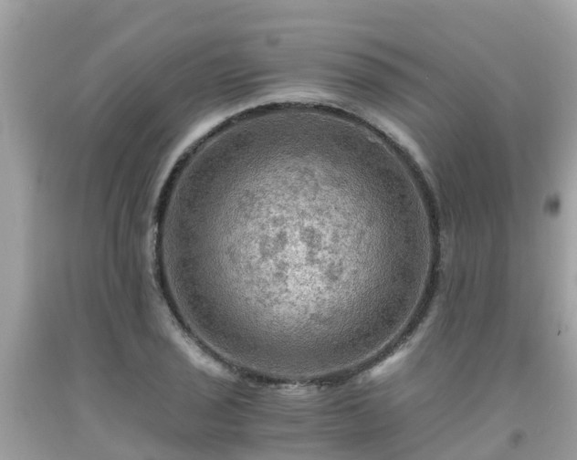 X0000092001029200709131510