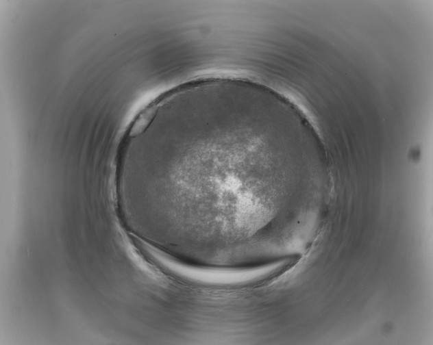 X0000092001030200709131510