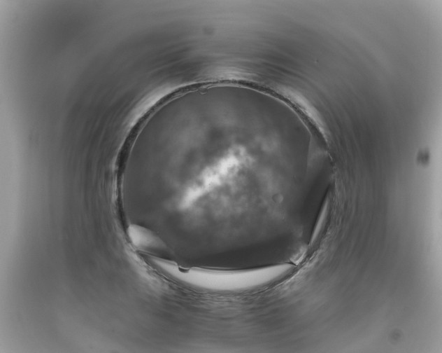 X0000092001031200709131510