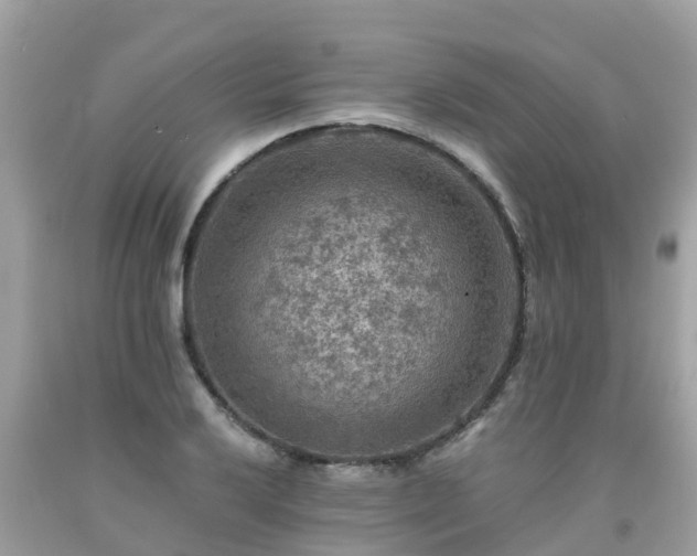 X0000092001032200709131510