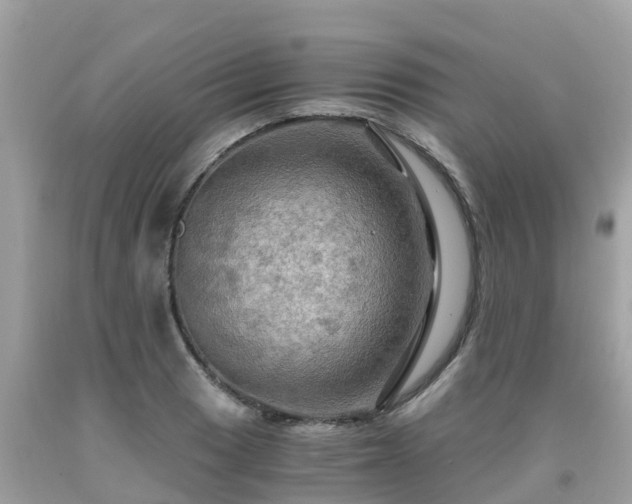 X0000092001033200709131510