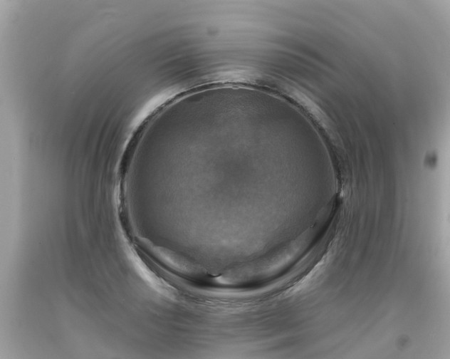 X0000092001034200709131510