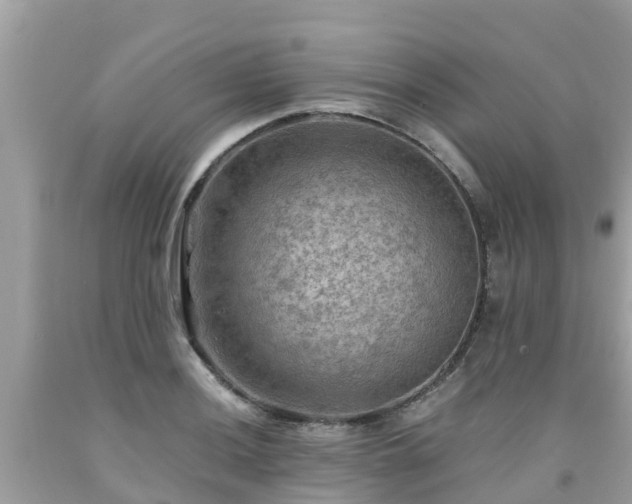 X0000092001036200709131510