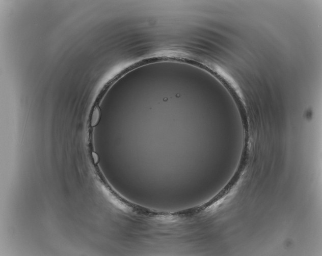 X0000092001037200709131510