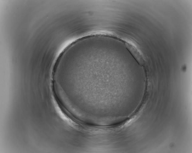 X0000092001038200709131510