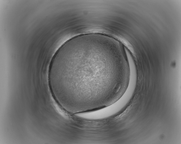 X0000092001039200709131510