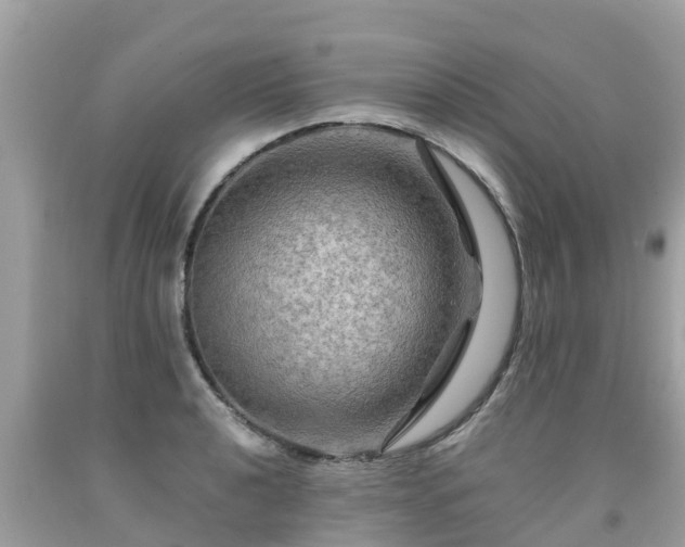 X0000092001040200709131510