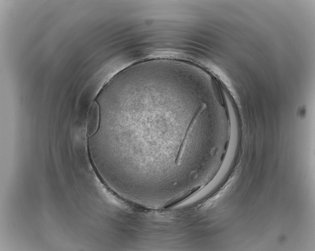 X0000092001041200709131510