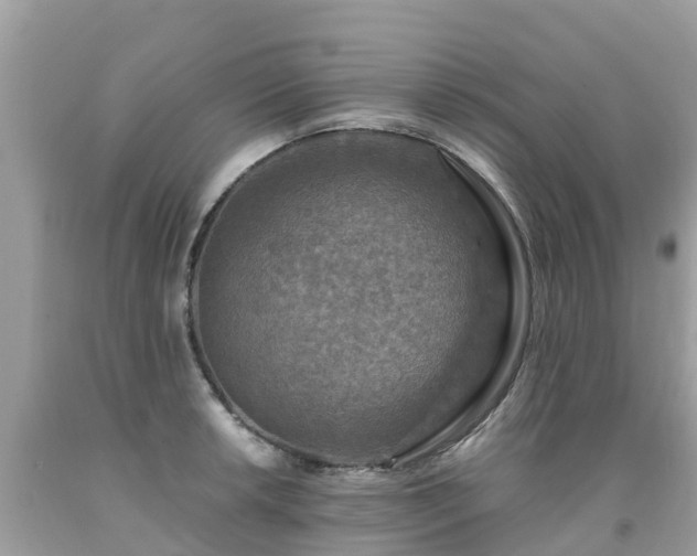 X0000092001042200709131510