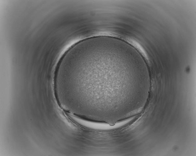 X0000092001043200709131510