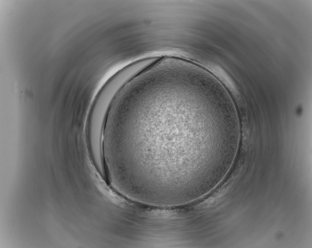 X0000092001044200709131510