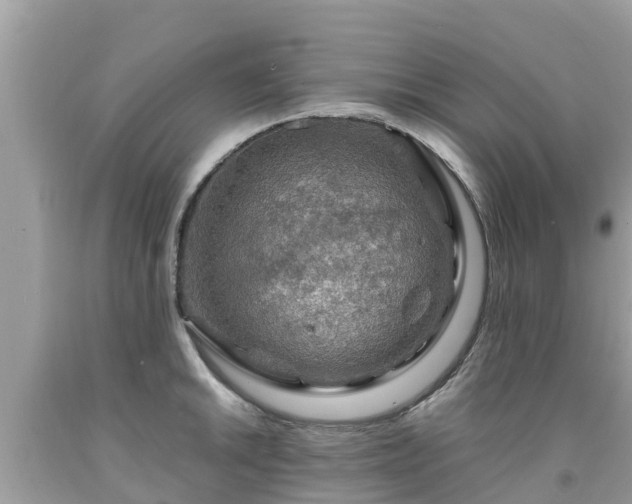 X0000092001046200709131510