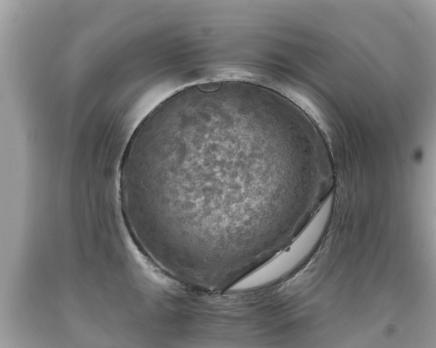 X0000092001047200709131510