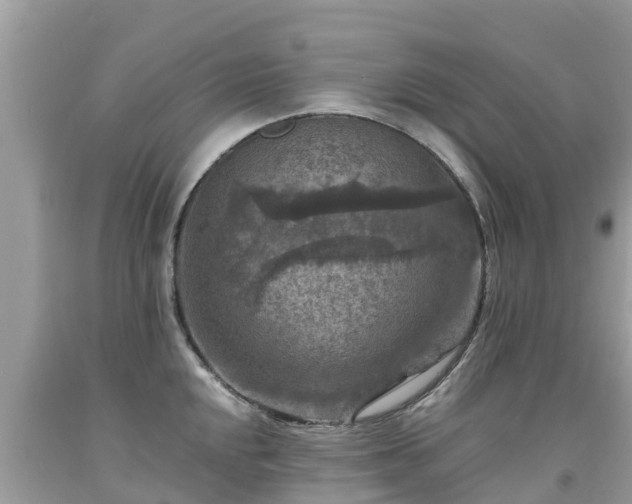 X0000092001048200709131510