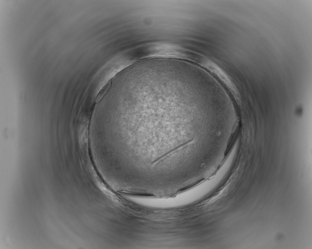 X0000092001049200709131510