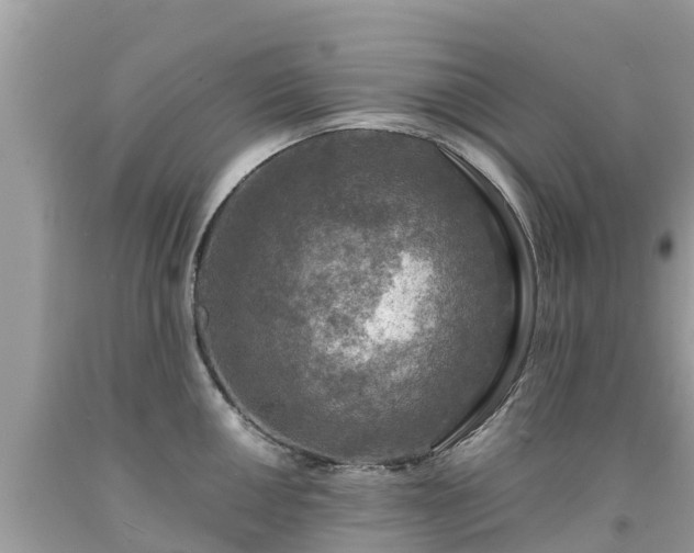 X0000092001050200709131510