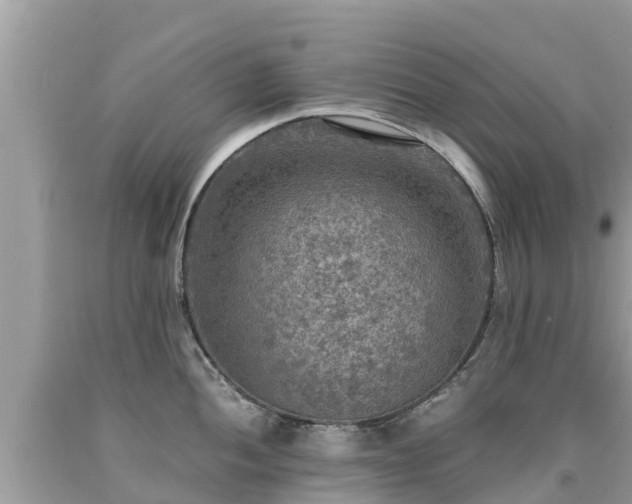 X0000092001052200709131510