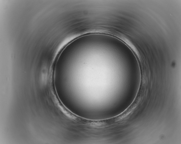 X0000092001053200709131510