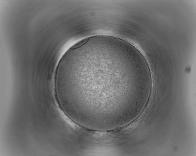 X0000092001056200709131510