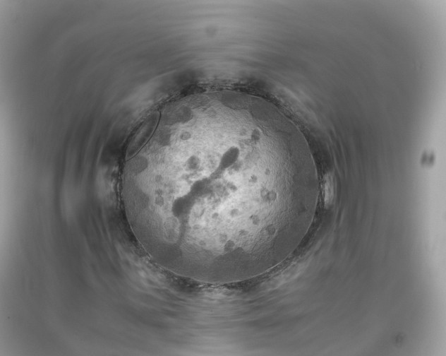 X0000092001059200709131510