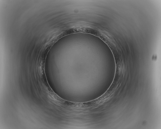 X0000092001060200709131510